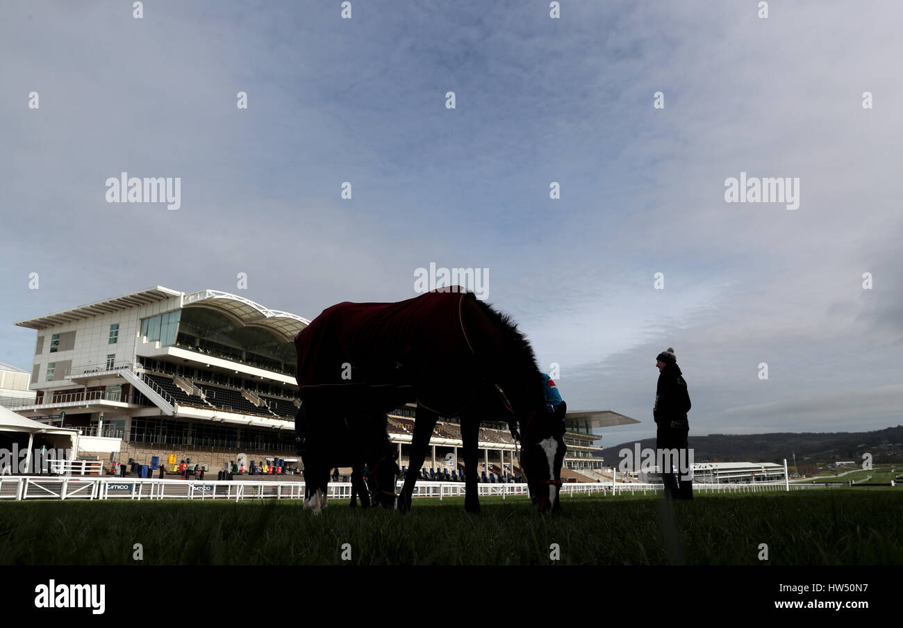 Große Geste und Ay, Charley Fuß auf dem Golfplatz tagsüber Gold Cup der 2017 Cheltenham Festival in Cheltenham Racecourse. Stockfoto