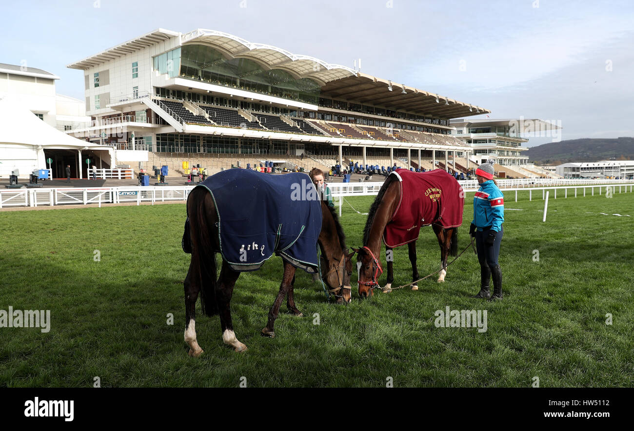 Große Geste und Ay, Charley Fuß auf dem Golfplatz tagsüber Gold Cup der 2017 Cheltenham Festival in Cheltenham Racecourse. Stockfoto