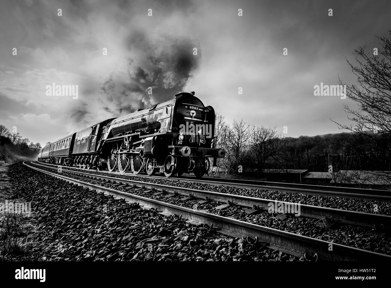 Tornado-Dampfzug auf Giggleswick auf der Settle Carlisle Railway Stockfoto