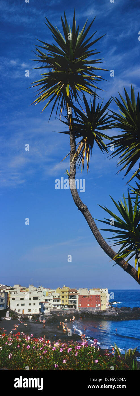 Playa Jardin Strand, Puerto De La Cruz. Teneriffa. Kanarischen Inseln. Spanien Stockfoto