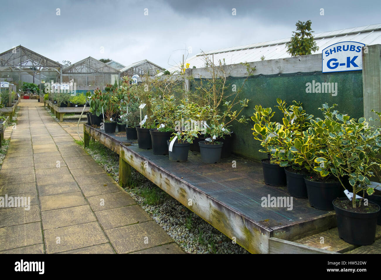 Gartencenter Pflanzen Sträucher Verkauf Freizeit Aktivität Gartenarbeit Business-Anzeige Stockfoto