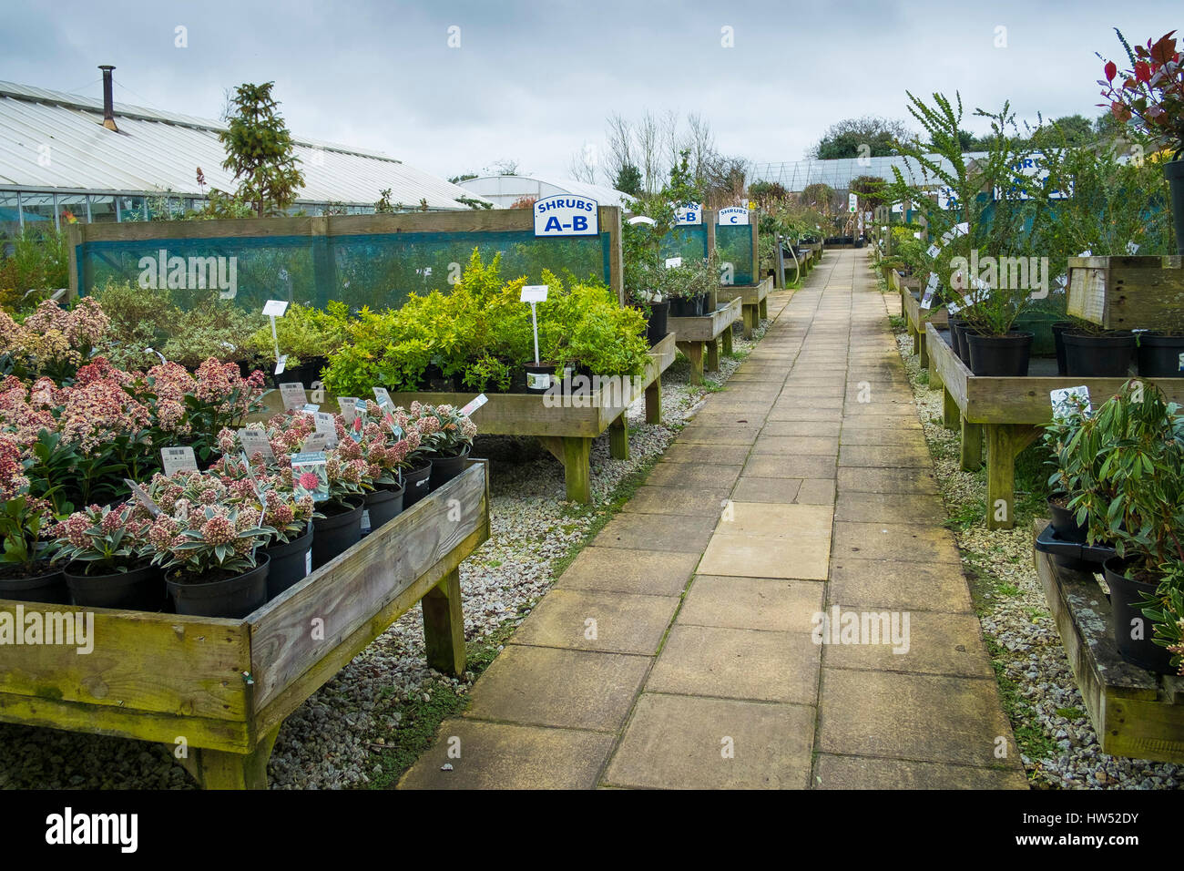 Gartencenter Pflanzen Sträucher Verkauf Freizeit Aktivität Gartenarbeit Business-Anzeige Stockfoto