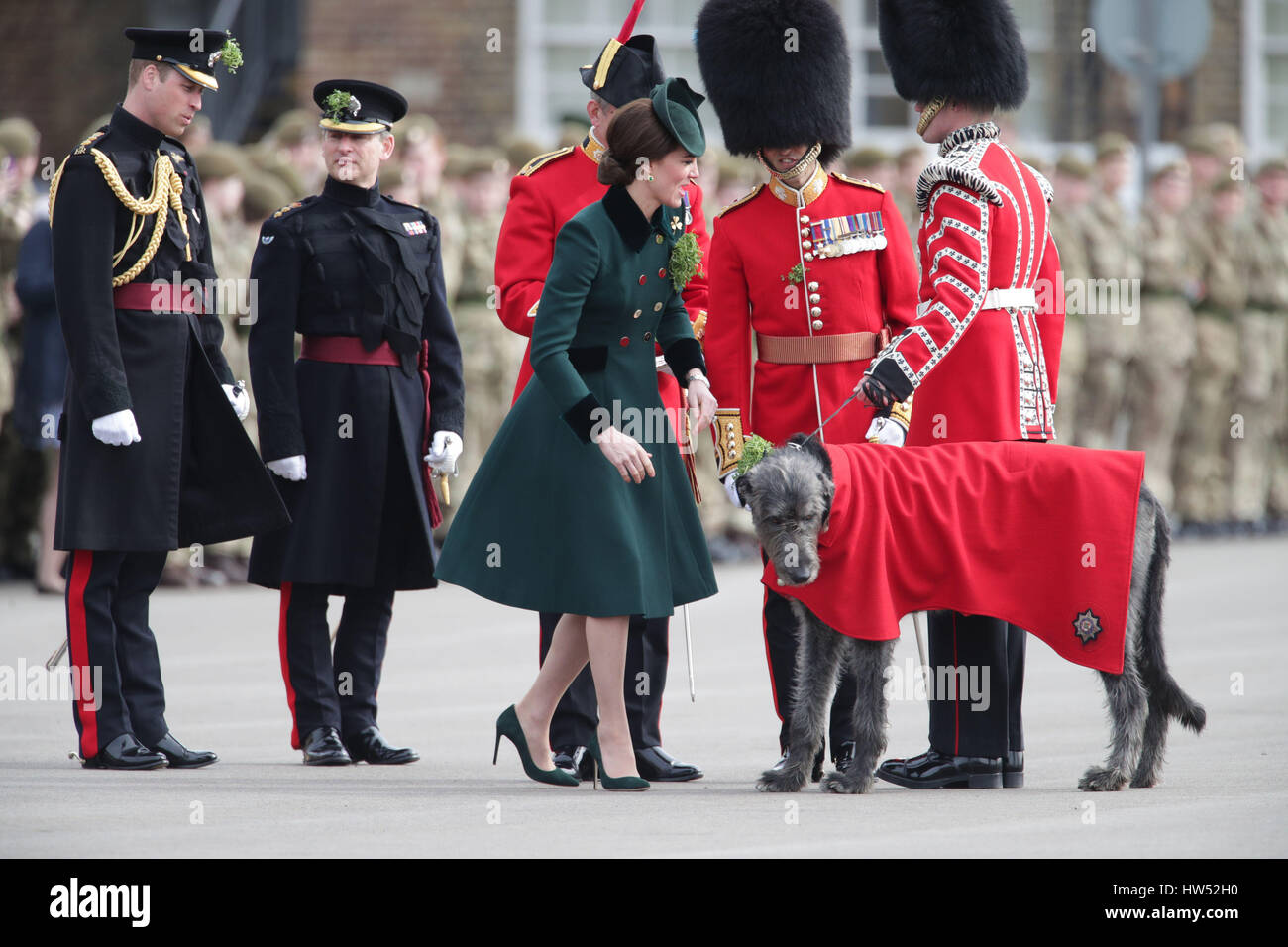 Die Herzogin von Cambridge trifft Regiments Maskottchen Domhnall als sie und der Duke of Cambridge, Oberst der Irish Guards besuchen Sie das 1. Bataillon Irish Guards während der St. Patricks Day Parade, bei der Reiterkaserne in Hounslow, wo die Herzogin die traditionellen Zweige der Shamrock an die Leiter und Gardisten präsentieren. Stockfoto