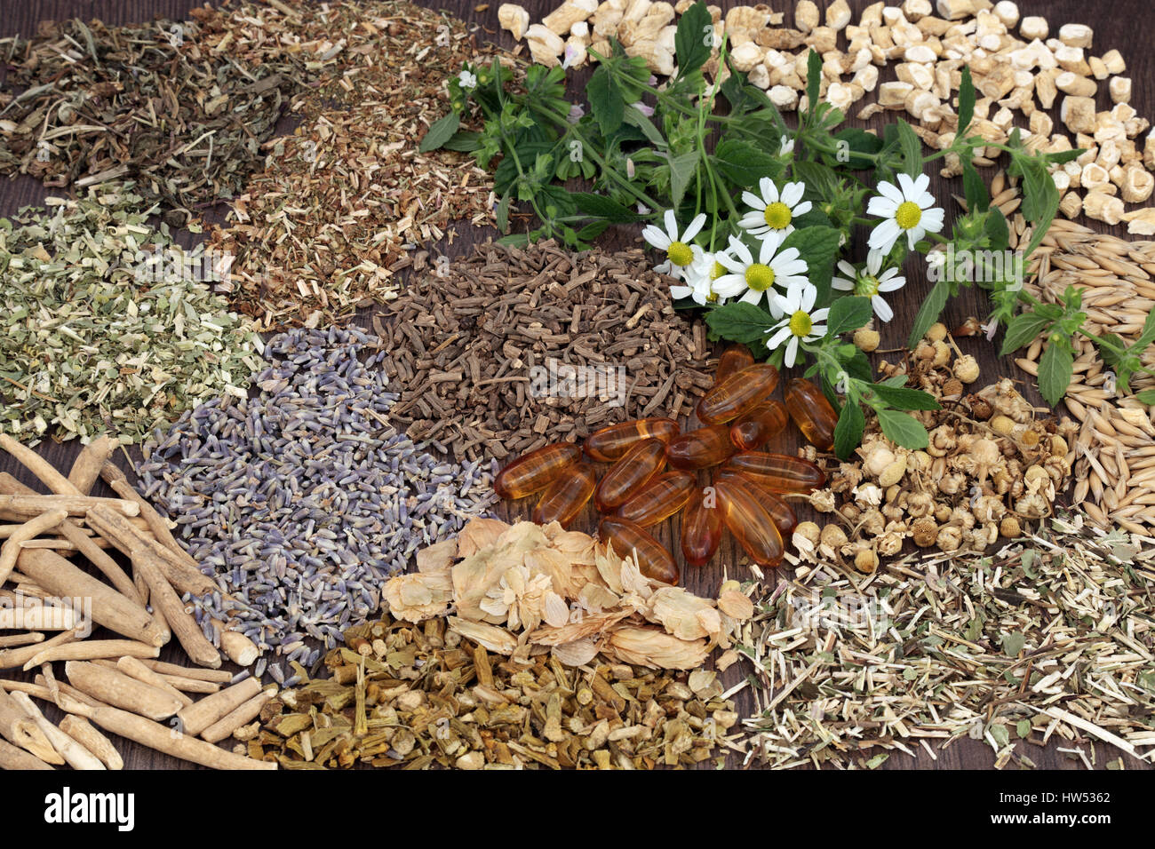 Kraut-Auswahl in alternative Kräutermedizin verwendet, um zu schlafen und Angststörungen heilen. Stockfoto