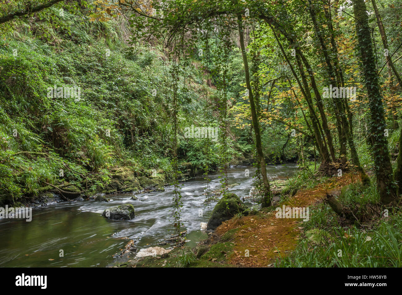 Clare Glenns Irland Stockfoto