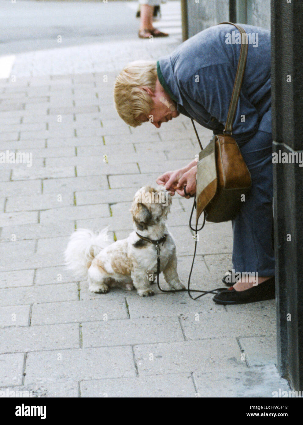 Dame mit Hund auf einer Paris Straße 2001 Stockfoto