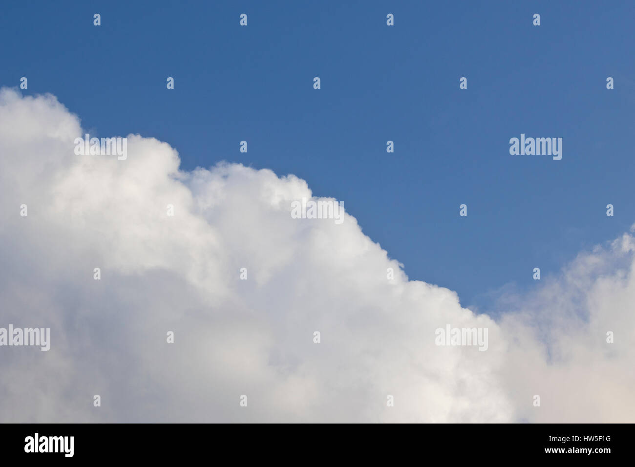 Schwammige weiße Cumulus-Wolken Stockfoto