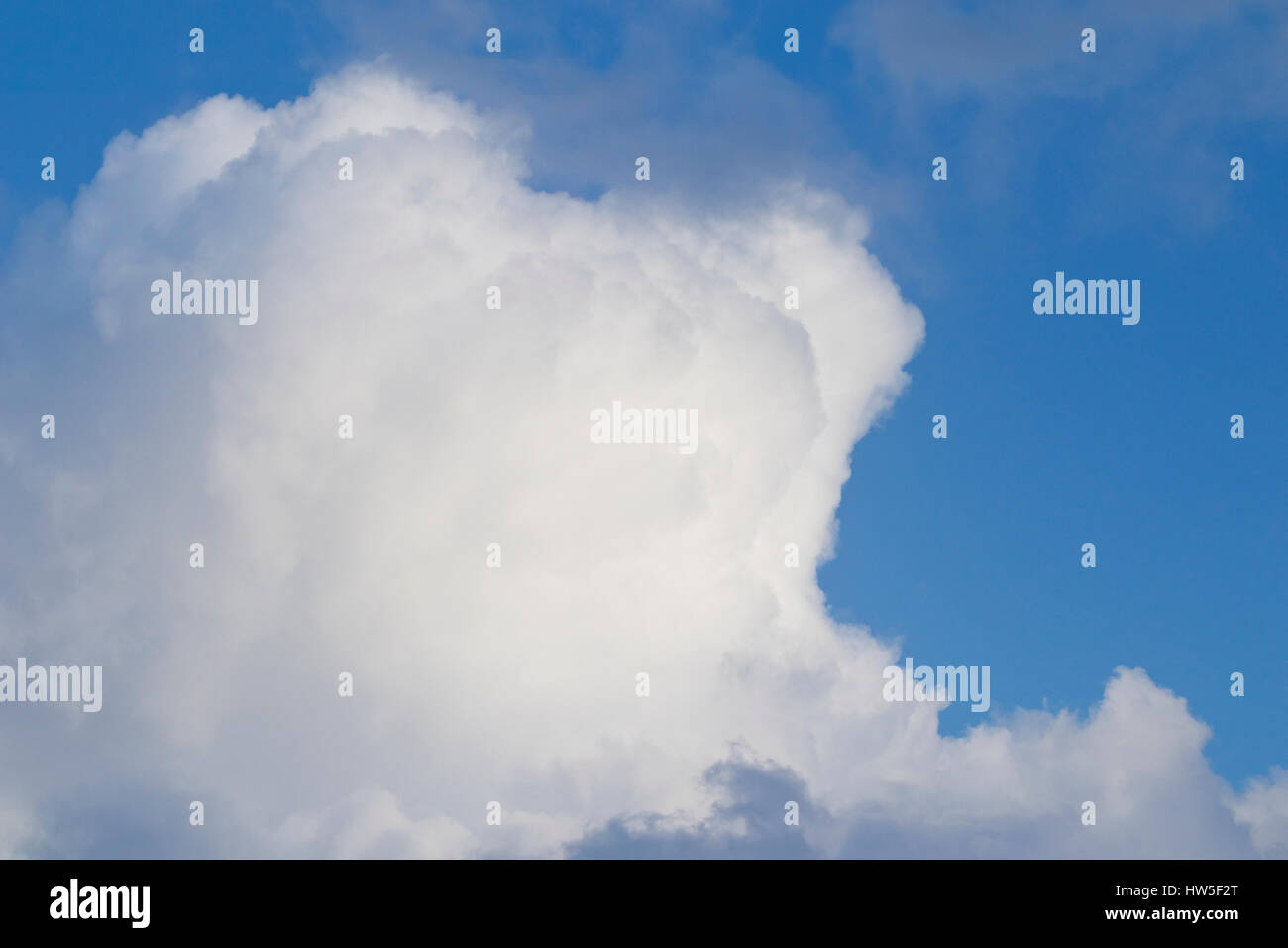 Großen Cumulus cloud mit einigen schwarzen Wolken, vorherigen einen Sturm. Stockfoto