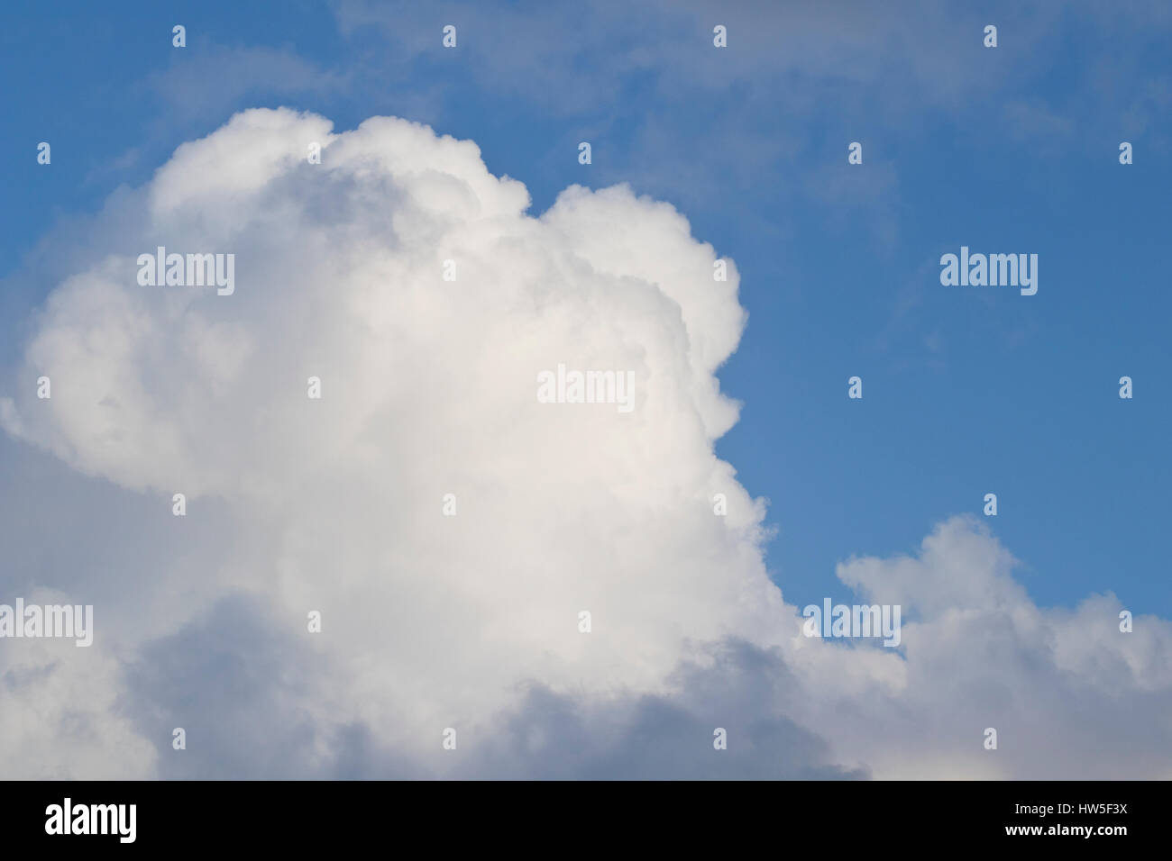 Cumulus-Wolken vorherigen ein Sturm. Stockfoto
