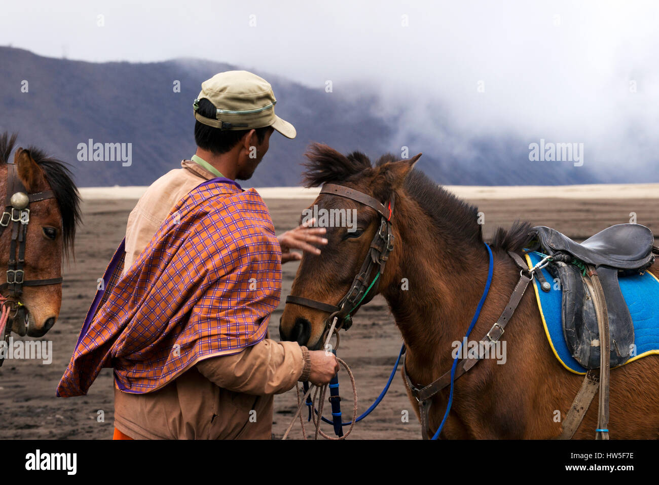 Reiterin mittags streicheln seiner braune Pferd im Tal auf dem Tengger Semeru National Park in Ost-Java, Indonesien. Stockfoto