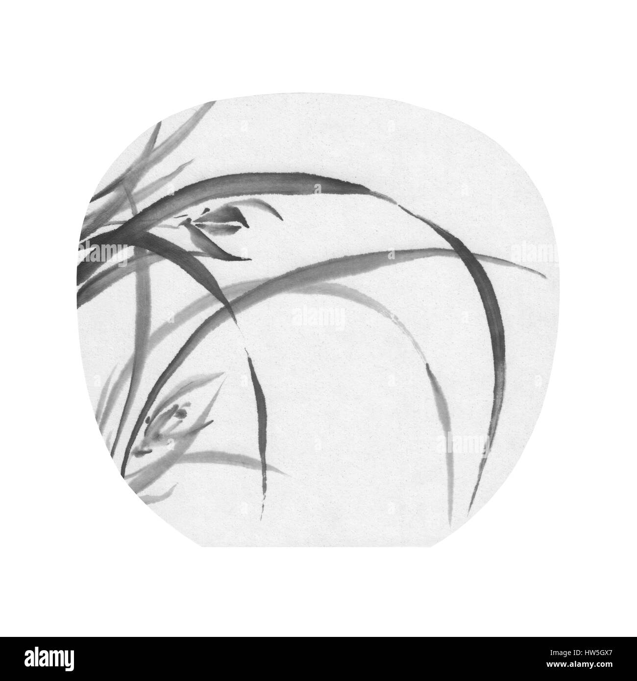 Wilde Orchidee schwarz Tuschemalerei runden Hintergrund Stockfoto