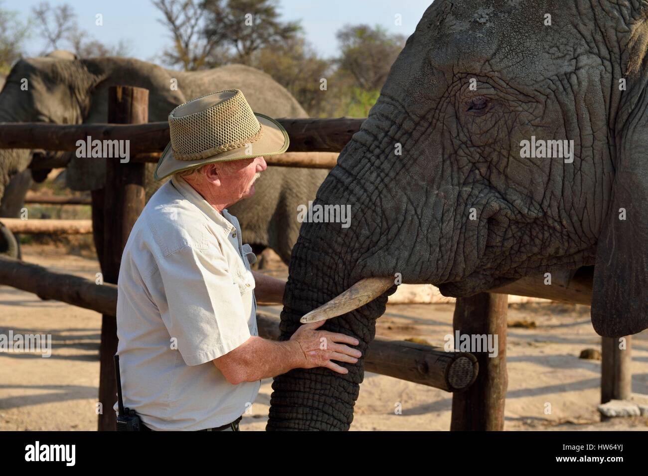 Simbabwe Midlands Provinz Gweru Antelope Park nach Hause (African Lion und Environmental Research Trust) alarmieren die Verwaltung Stockfoto