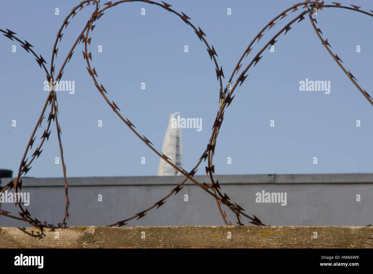 Stacheldraht Stockfoto