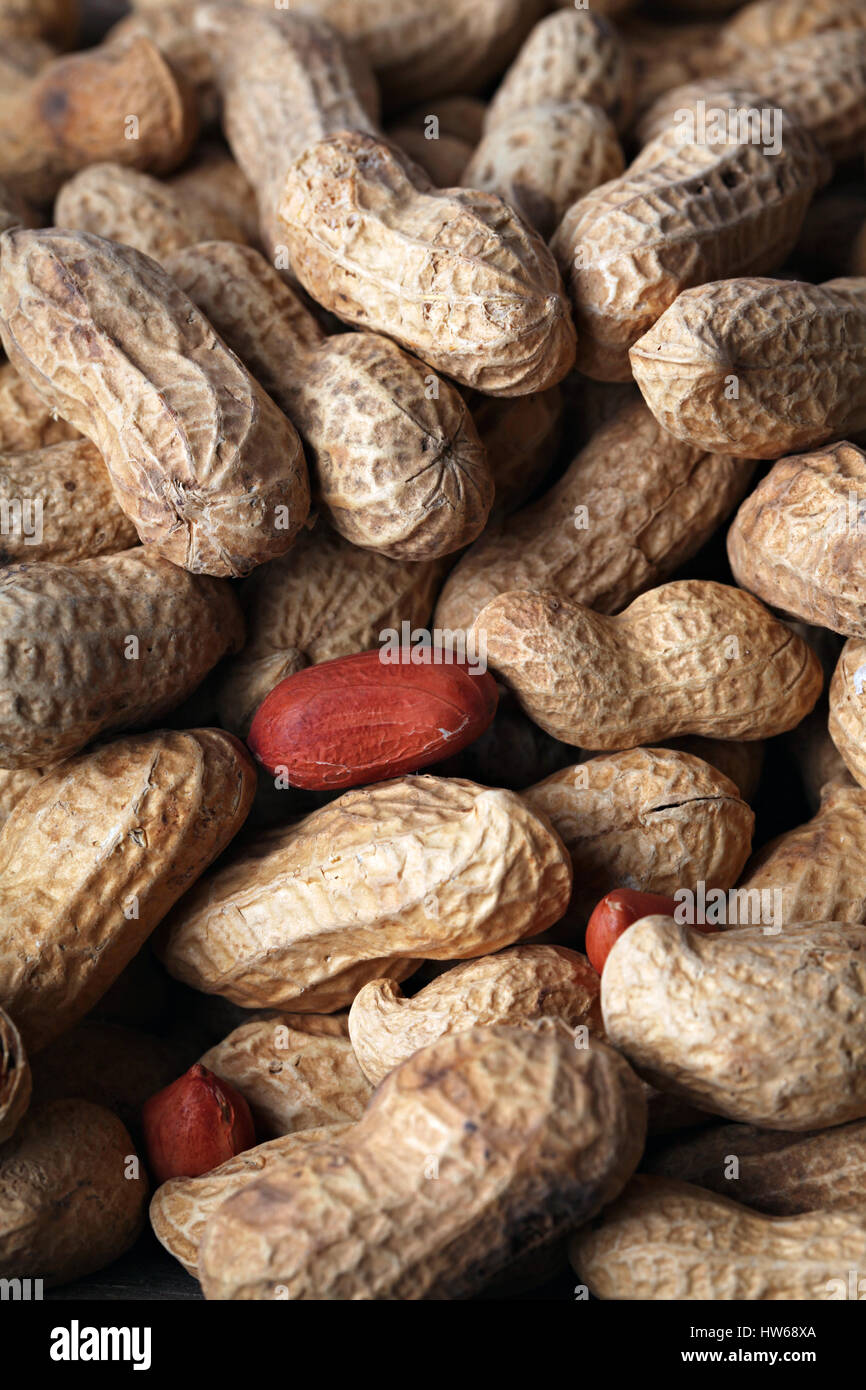 Erdnüsse-Hintergrund. Stockfoto