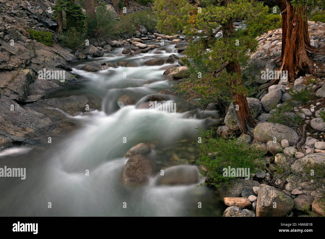 CA03073-00... Kalifornien - Piute Creek von PCT/JMT an der Grenze des John Muir Wilderness und Kings CanyonNationalpark. (Mit einer 10-Stop Salzlampe Stockfoto