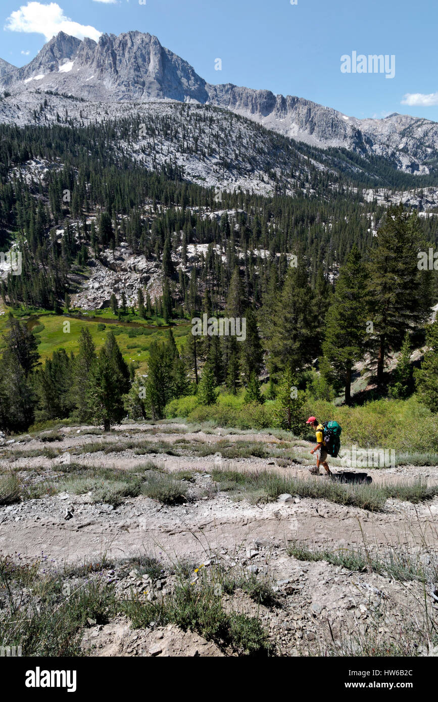 CA03077-00... Kalifornien - John Muir Trail Wanderer Abstieg in Tully Loch in die John Muir Wilderness Area. Stockfoto