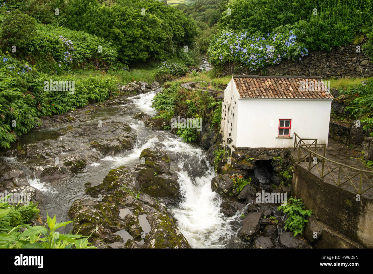 Traditionelles Steinhaus in der grünen Landschaft der Azoren-Insel Stockfoto