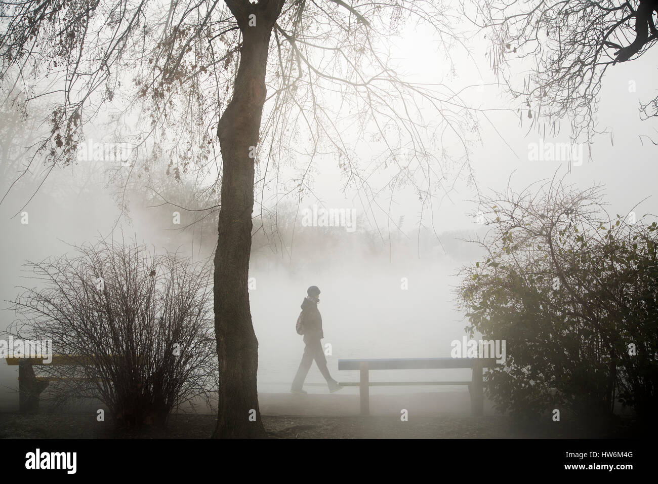 Tourist. Stadtpark im Nebel. Budapest Ungarn, Südost-Europa Stockfoto