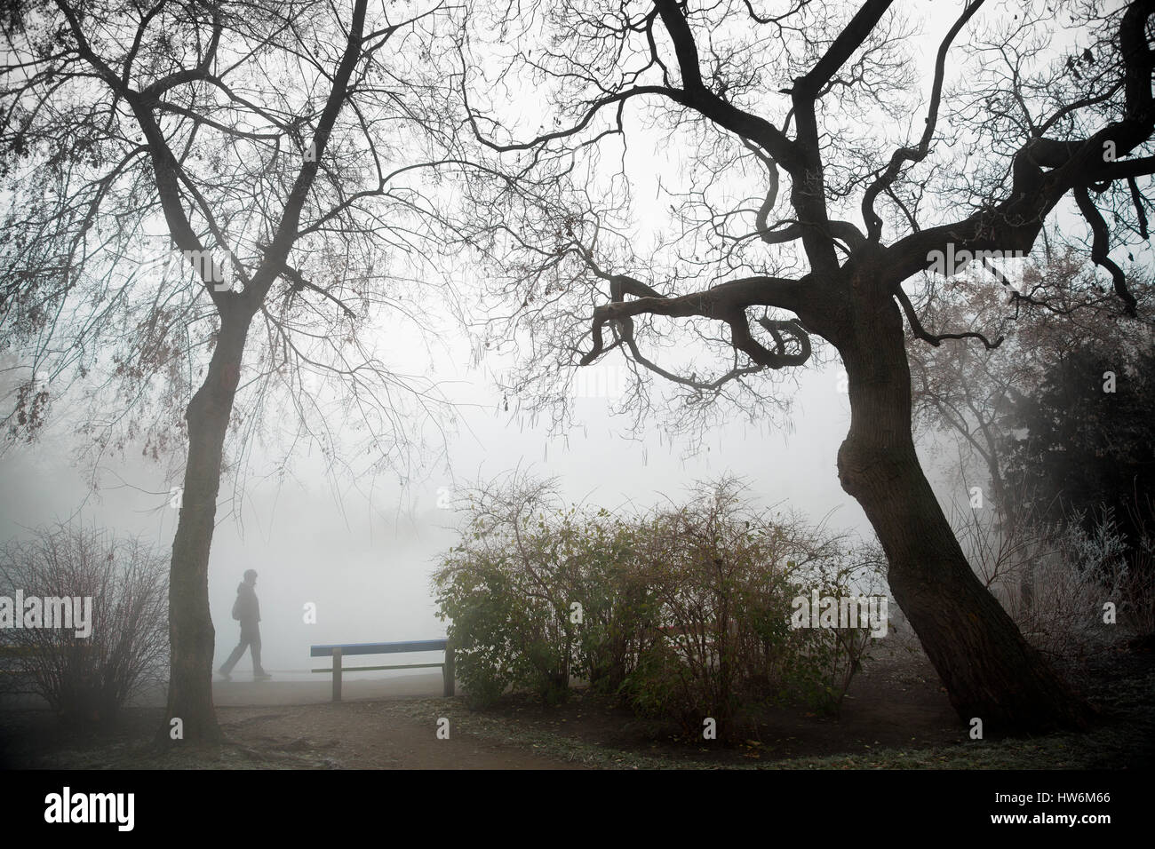 Tourist. Stadtpark im Nebel. Budapest Ungarn, Südost-Europa Stockfoto