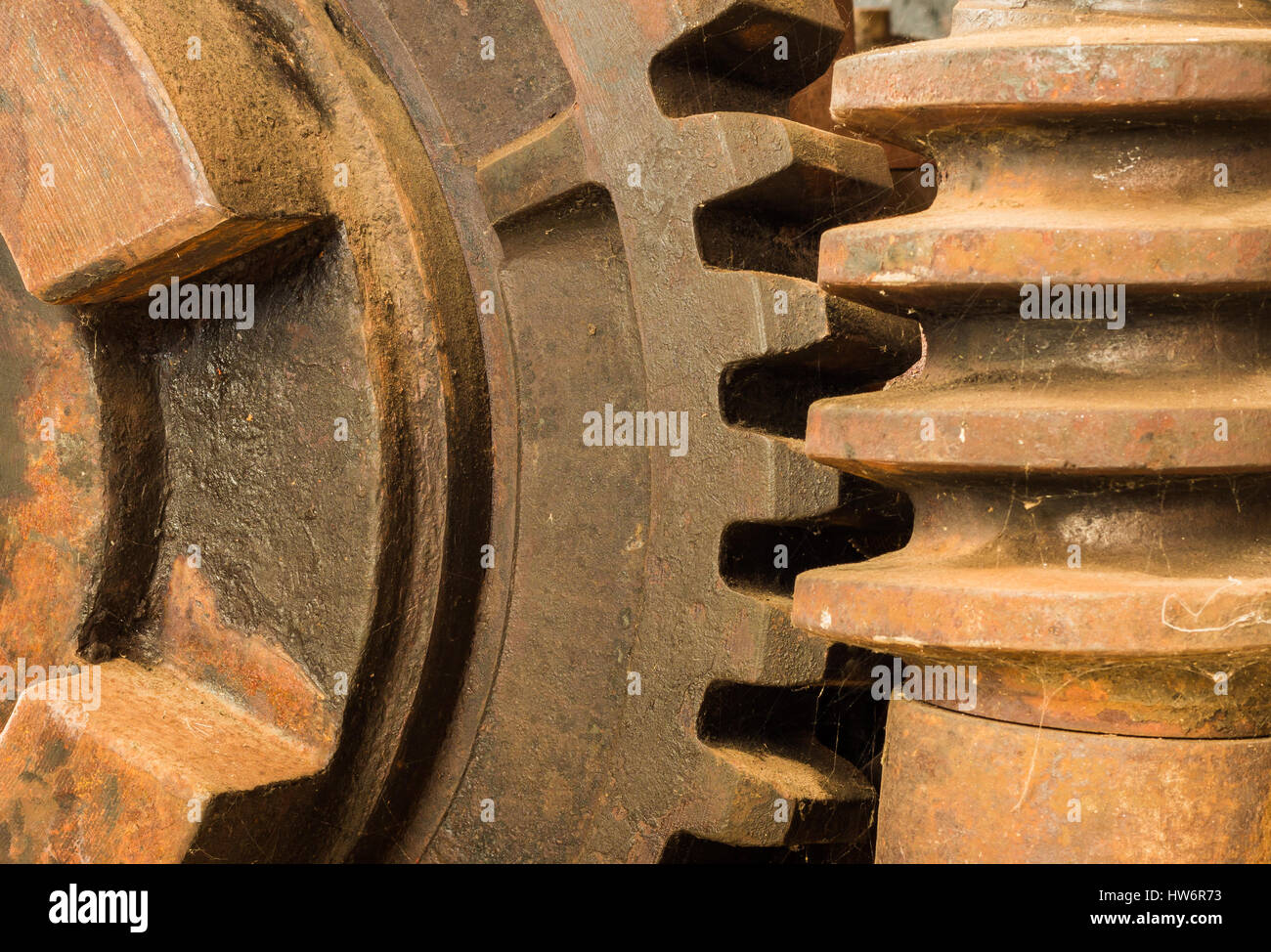 Schneckenantrieb -Fotos und -Bildmaterial in hoher Auflösung – Alamy
