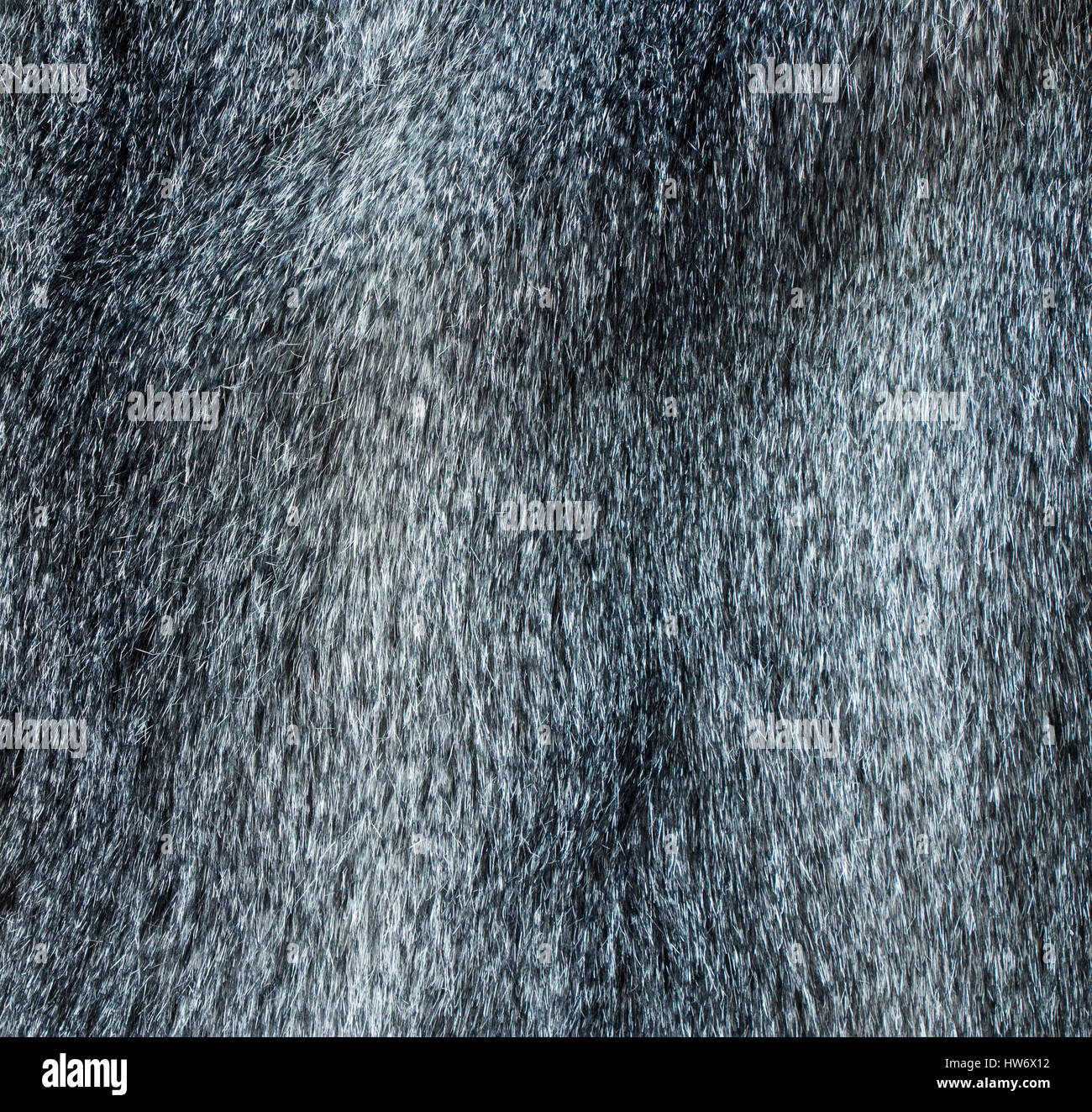 Wunderbare natürliche graue Fell Textur Stockfoto