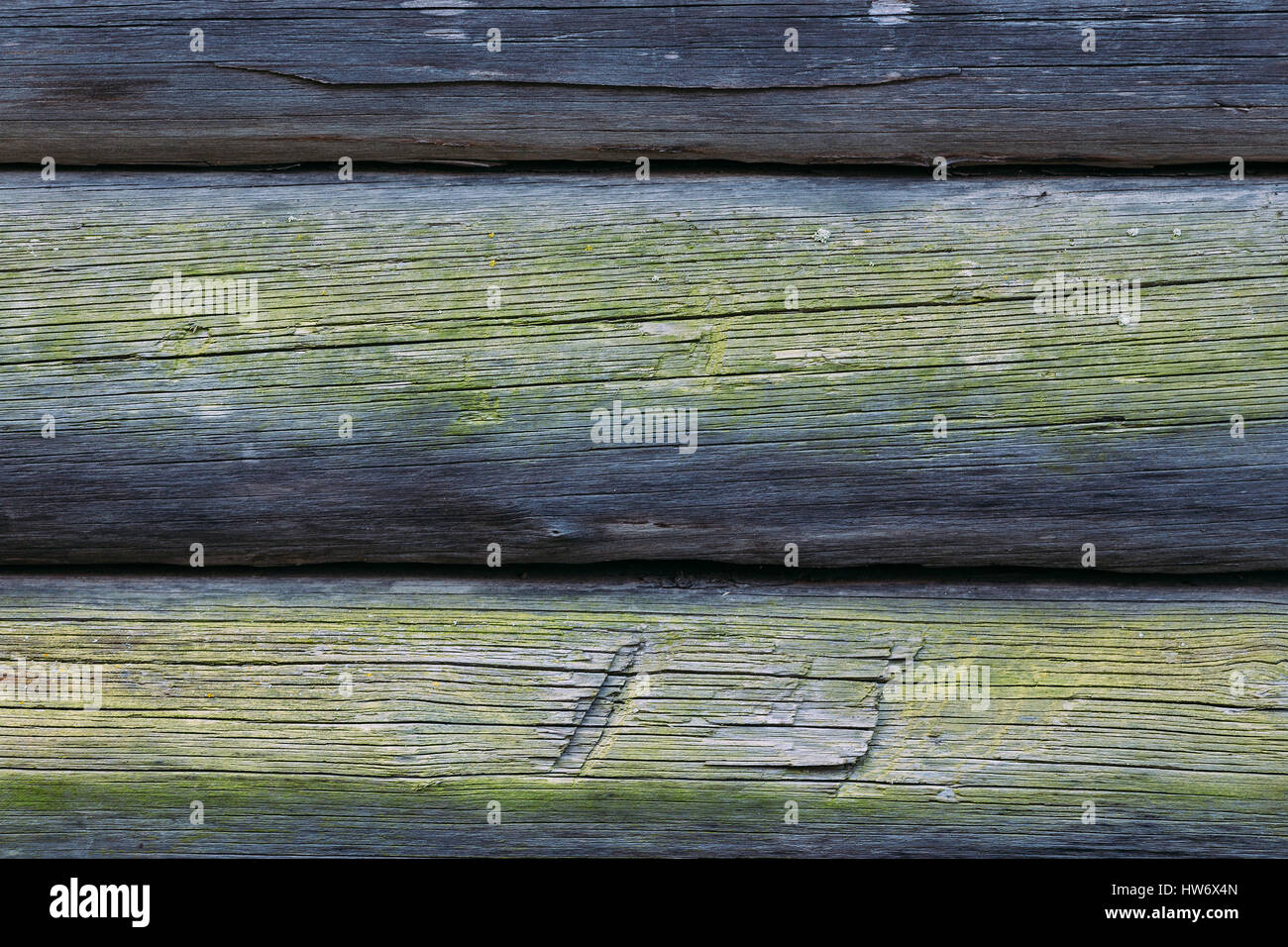 Teil der Mauer des alten Protokolle mit Moos bedeckt. Hölzerne Hintergrund. Stockfoto