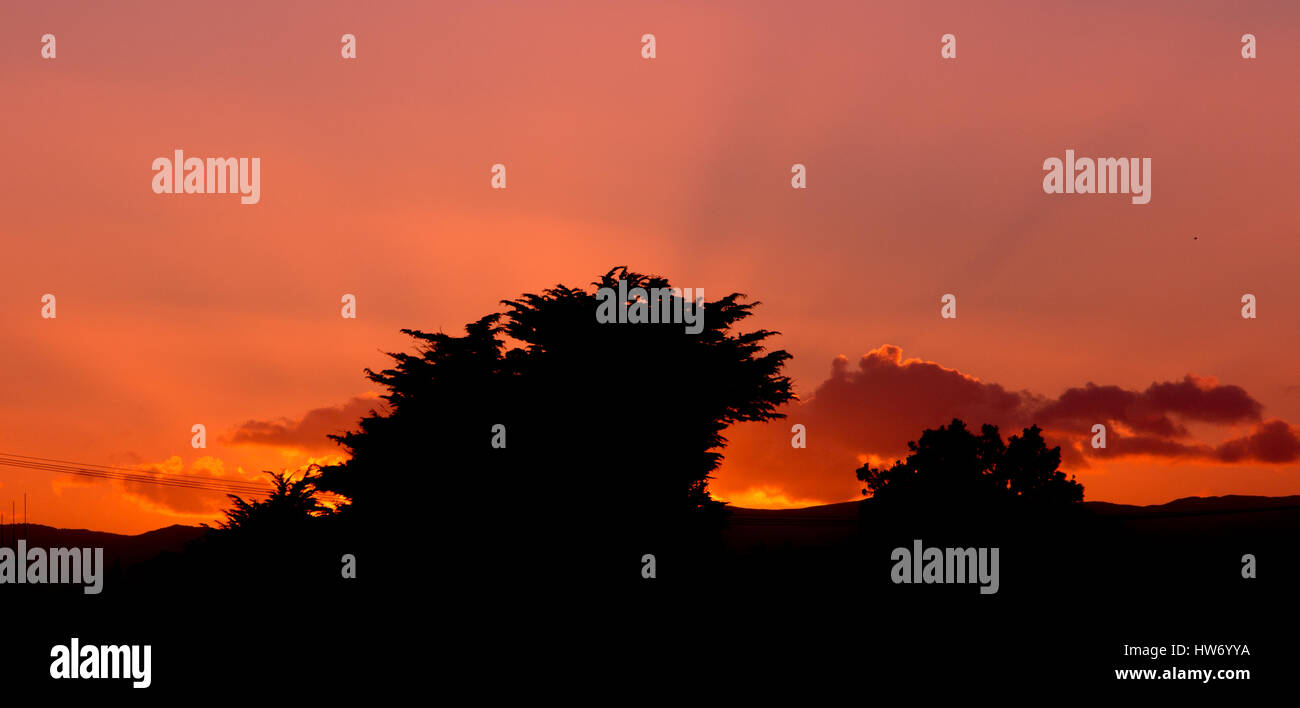 Eine heiße Sonnenuntergang hinter einigen Bäumen suchen. Stockfoto