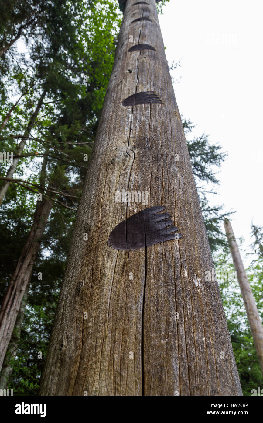 Totem der alten Inuit in Alaska Stockfoto