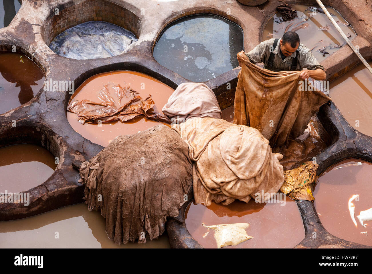Fes, Marokko.  Arbeiten in der Leder-sterben Gruben, die Chouwara Gerbereien. Stockfoto