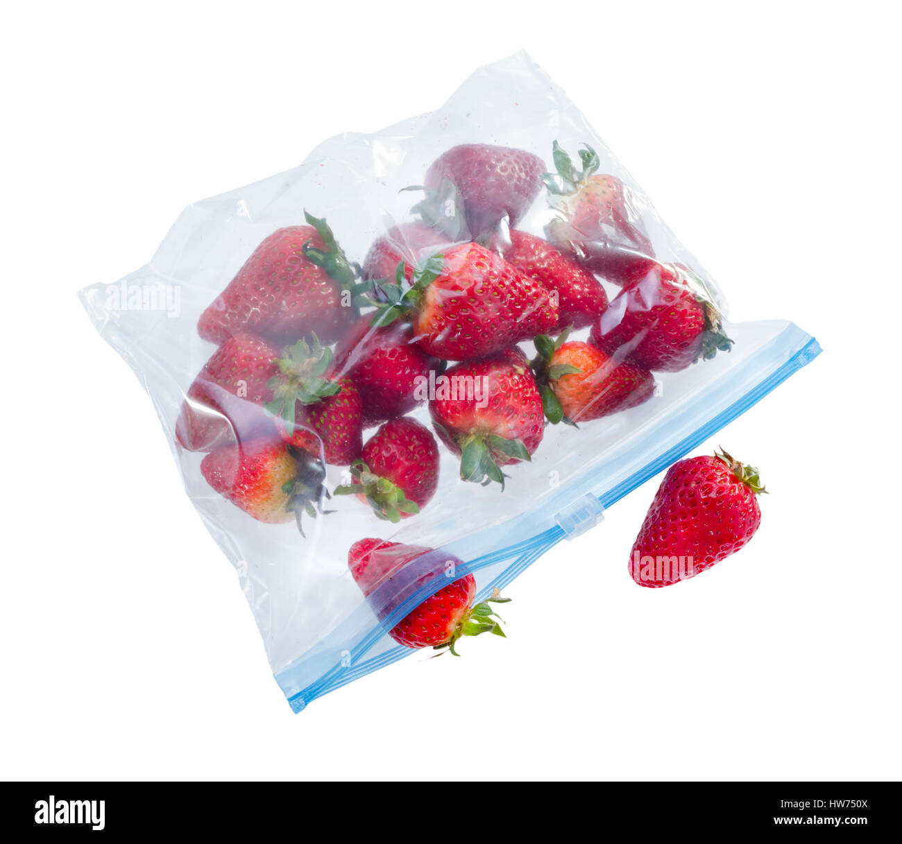 Erdbeere in klare Plastiktüte isoliert auf weißem Hintergrund. Stockfoto