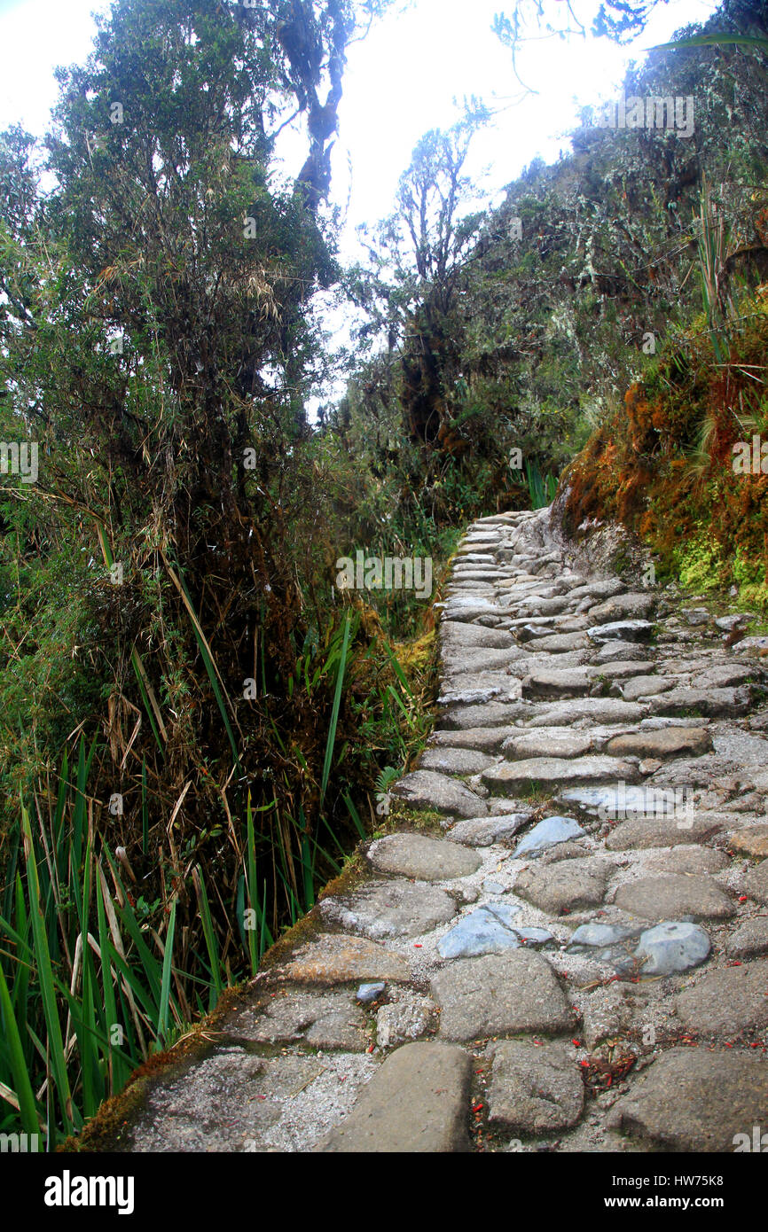 Landschaft entlang des Inka-Trail in Peru Stockfoto