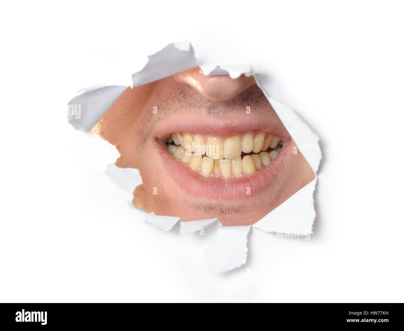 Kiefer in einem Loch des Papiers Stockfoto