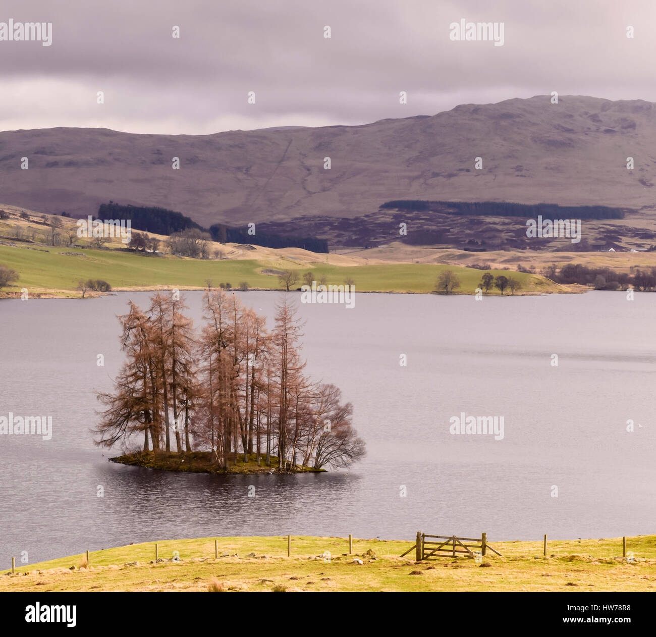 Bäume in Loch Freuchie mit Blick auf den Hügeln von Glen Almond, Strath Braan, Dorf von Amulree in Ferne. Glen Quaich und Aberfeldy im Norden. Stockfoto