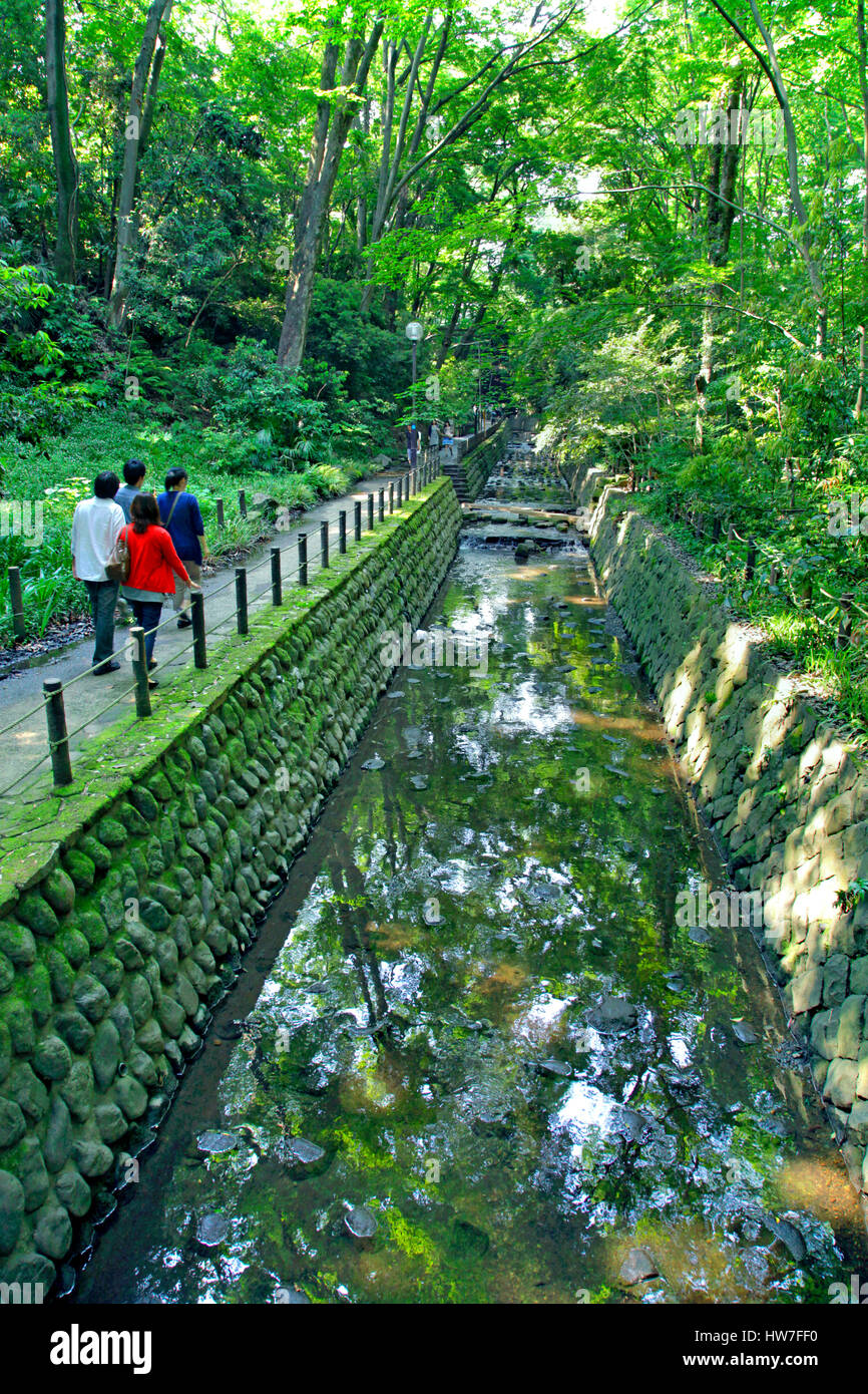 Todoroki Keikoku Tal in Setagaya Tokyo Japan Stockfotografie Alamy
