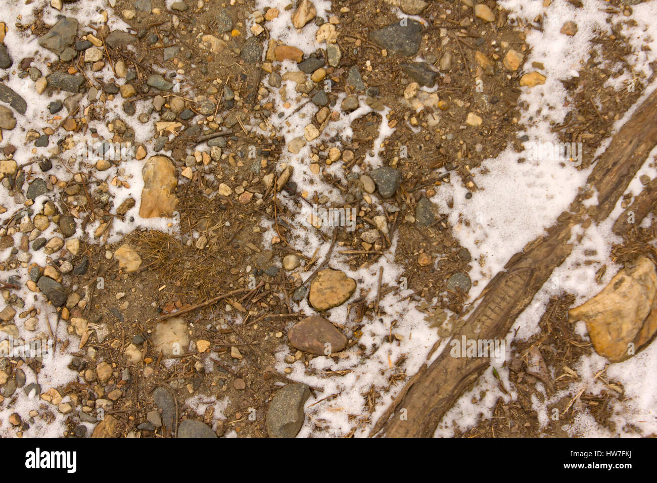 Felsen, Schmutz und Schnee auf einem Woodland Trail Stockfoto