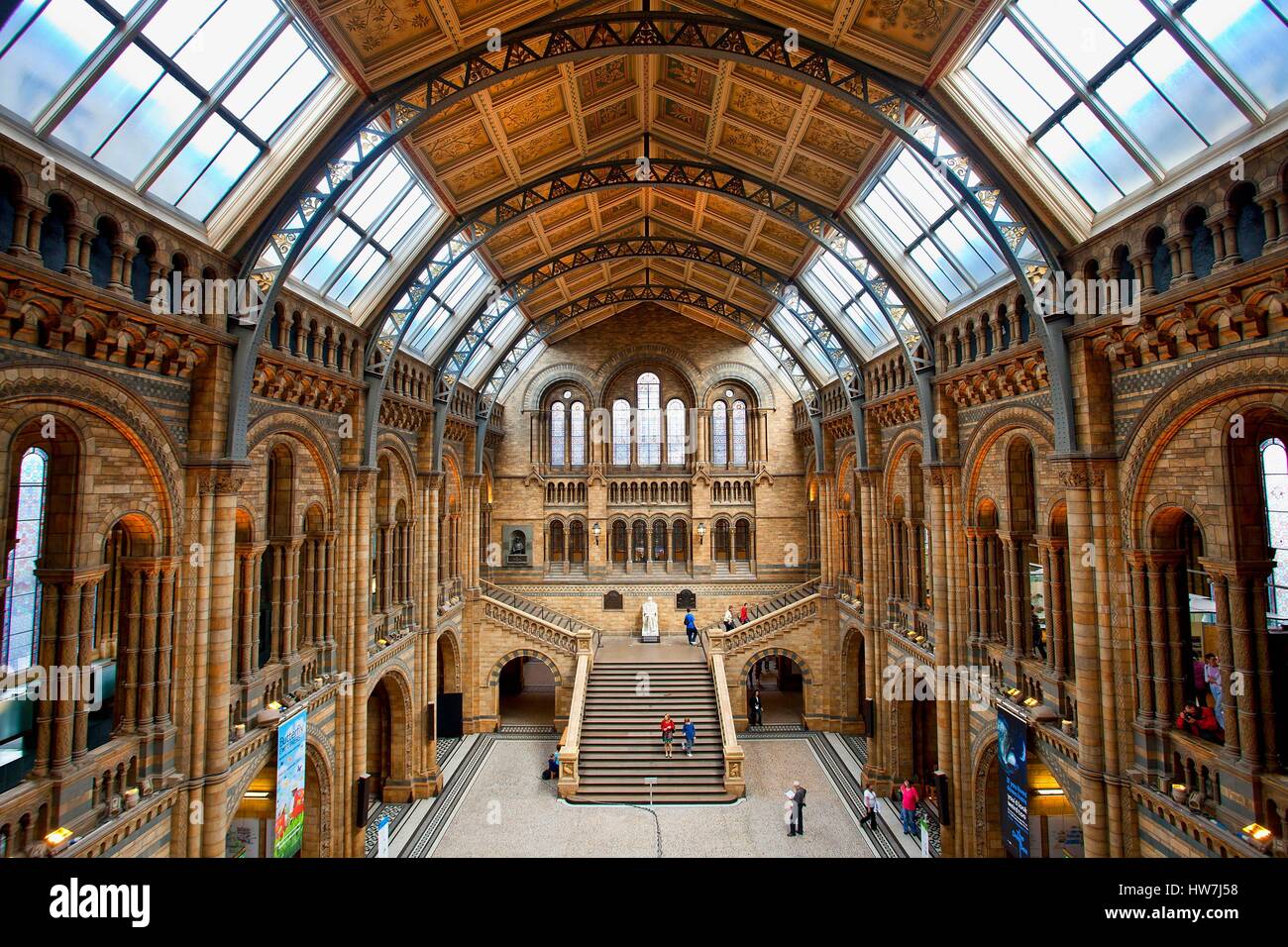 Vereinigtes Königreich, London, Central Hall of Natural History Museum Stockfoto