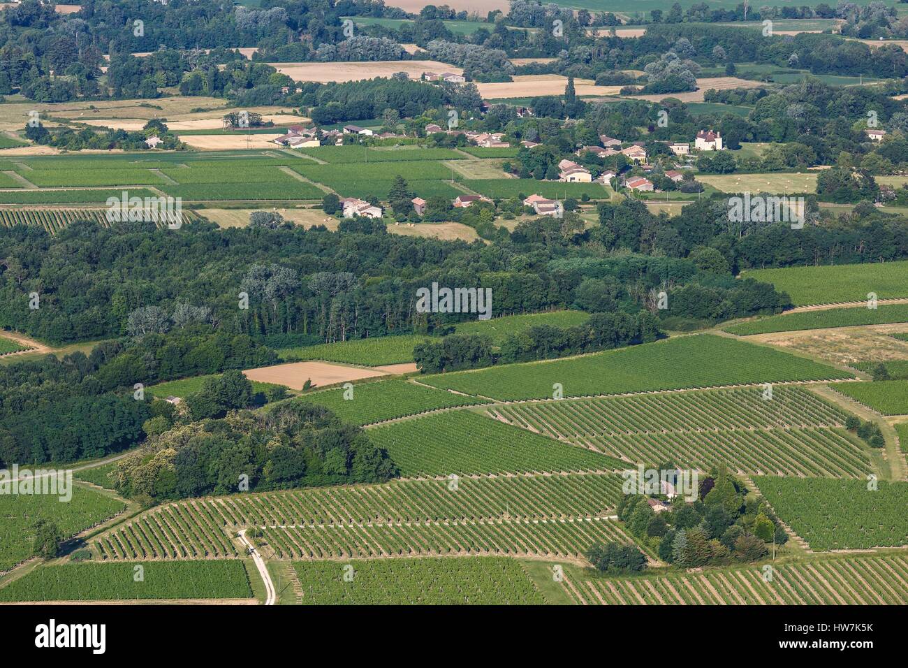 Frankreich, Gironde, Saint Felix de Foncaude, Entre Deux Mers Weinberge (Luftbild) Stockfoto