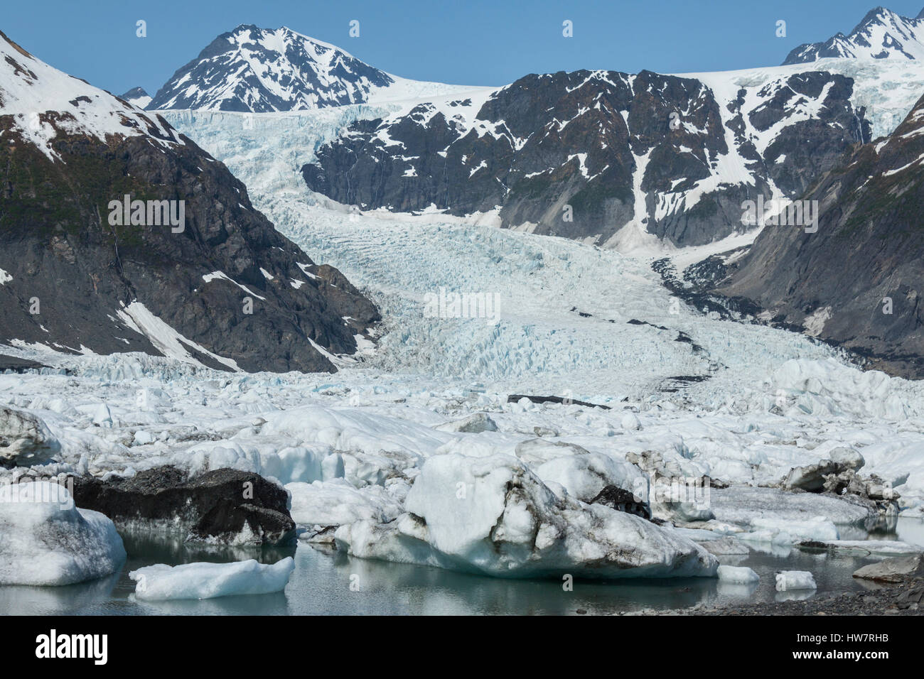 Pedersen Gletscher in Kenai Fjords Nationalpark, Alaska. Stockfoto