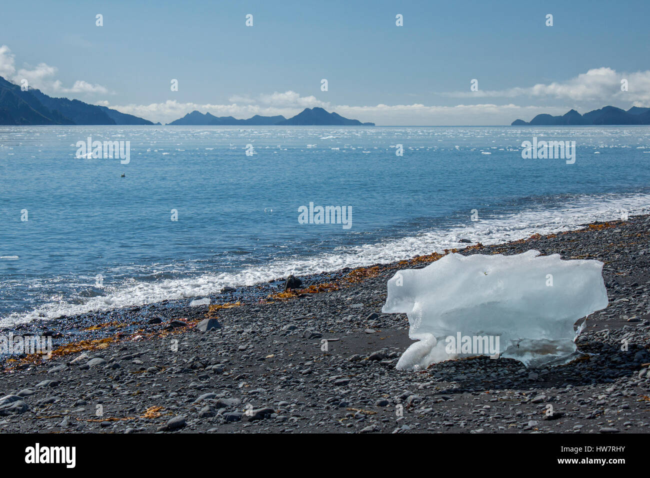 Eisberg am Strand in Aialik Bay, Kenai-Fjords-Nationalpark, Alaska. Stockfoto