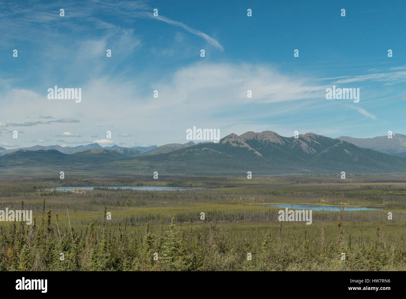 Borealen Wald und der Brooks Range aus dem Dalton Highway, Alaska. Stockfoto