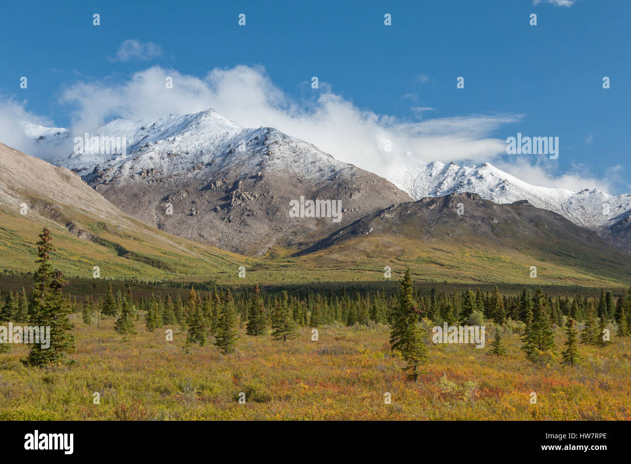 Kündigung-Staub auf die Alaska Range, Denali-Nationalpark, Alaska. Stockfoto
