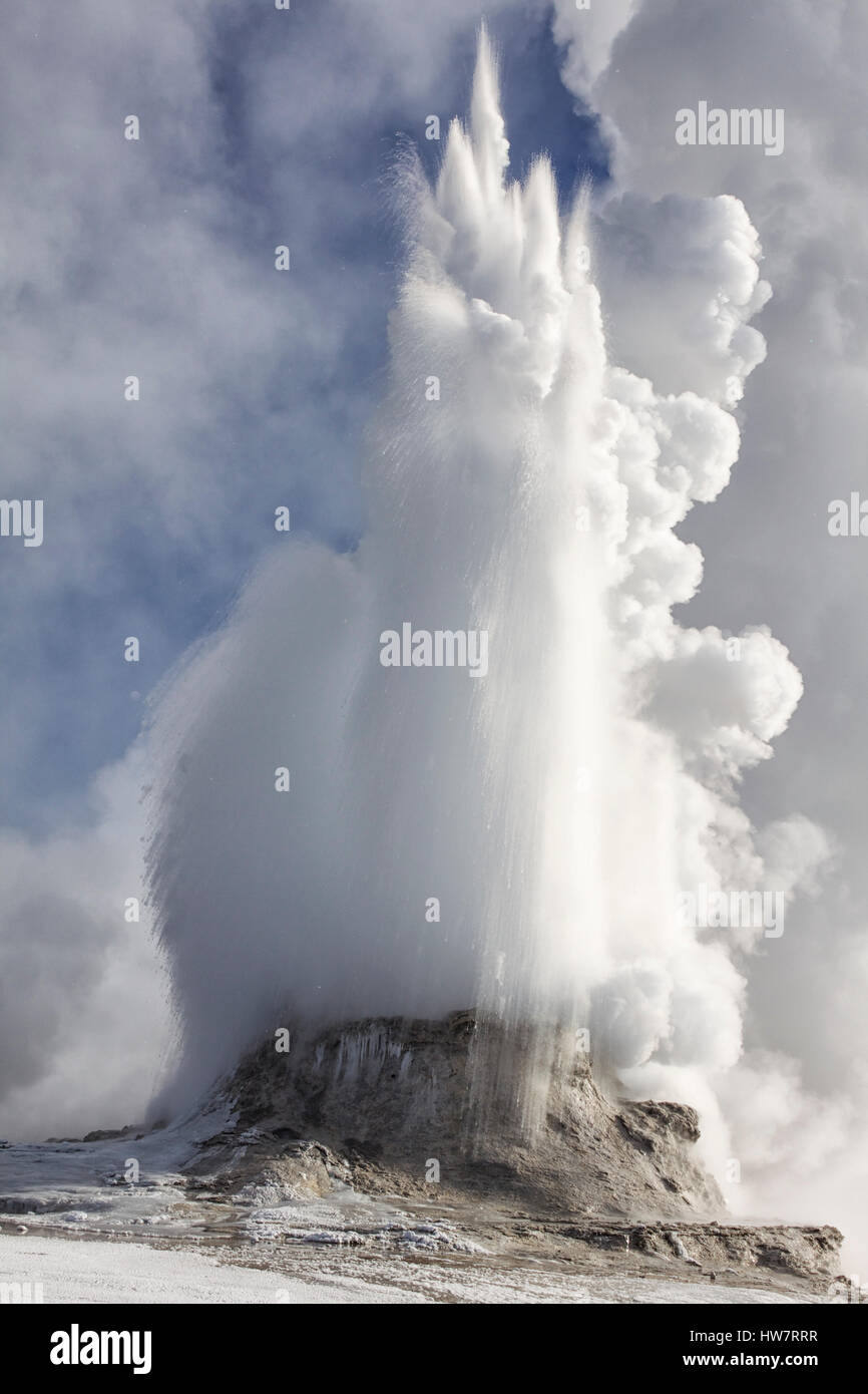 Castle Geyser Eupting bei-35 unter Null, Yellowstone-Nationalpark. Stockfoto