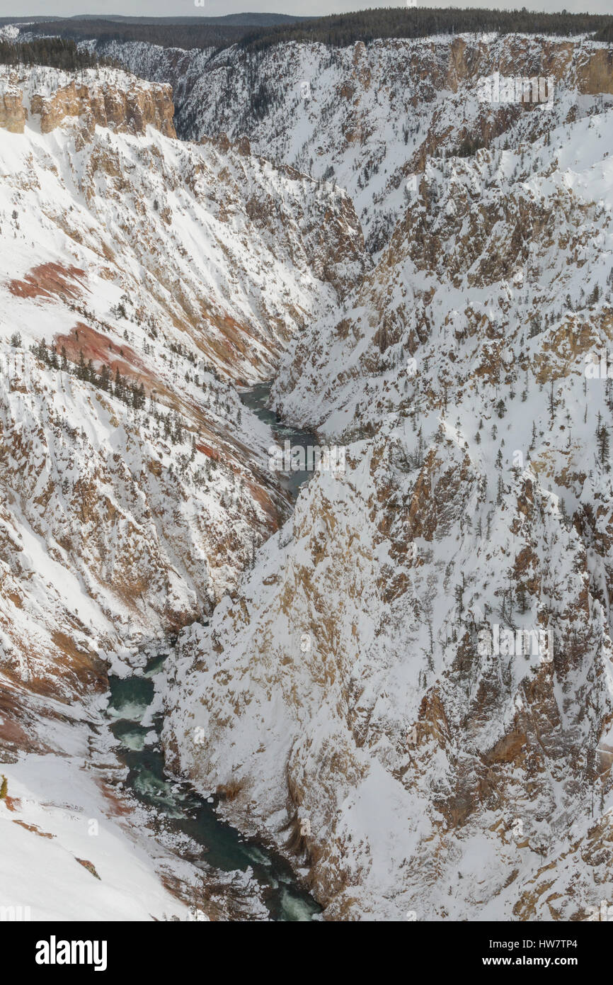 Grand Canyon des Yellowstone im Winter, Yellowstone-Nationalpark, Wyoming. Stockfoto