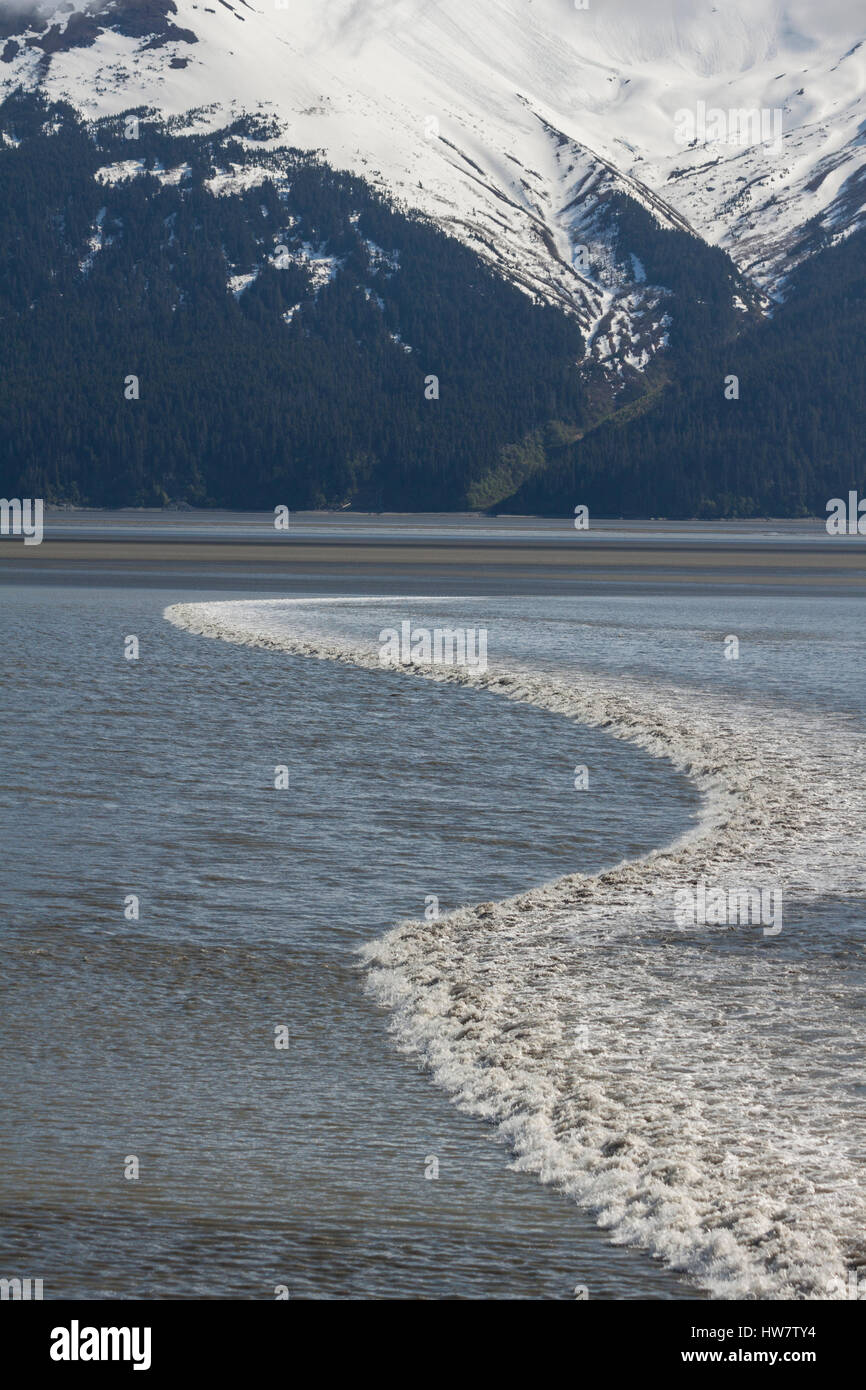 Langweilen Sie Flut im Turnagain Arm, in der Nähe von Anchorage, Alaska. Stockfoto