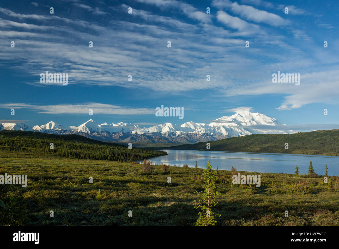 Alaska reichen von Wonder Lake, Denali-Nationalpark, Alaska. Stockfoto