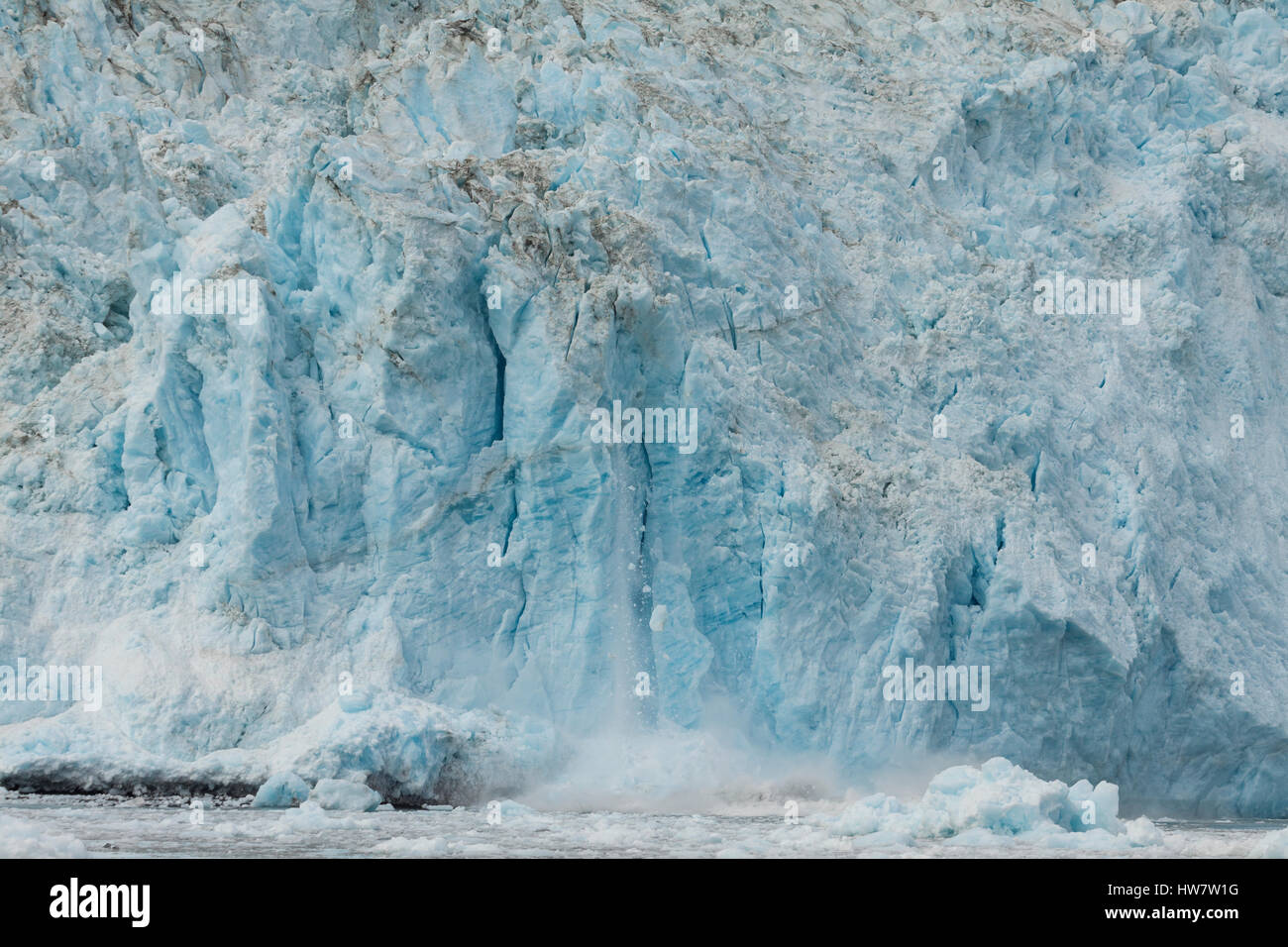 Aialik Gletscher Kalben in Kenai Fjords Nationalpark, Alaska. Stockfoto