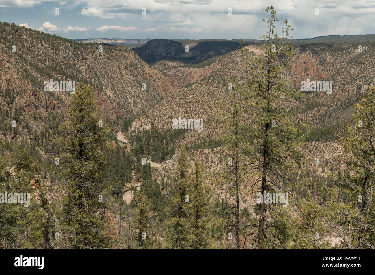 Middle Fork des Gila River, New-Mexico. Stockfoto