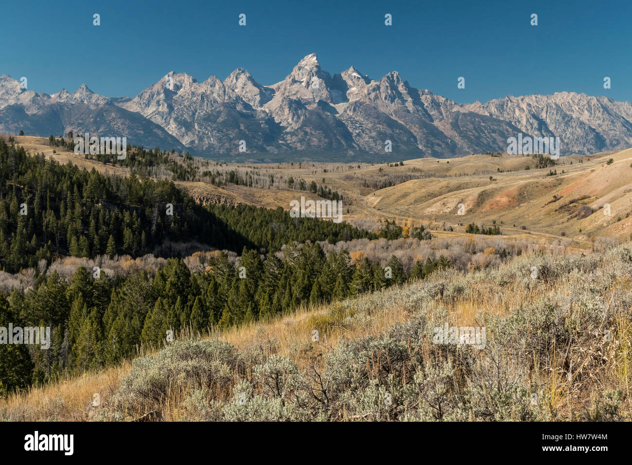 Grant Teton, Wyoming Stockfoto