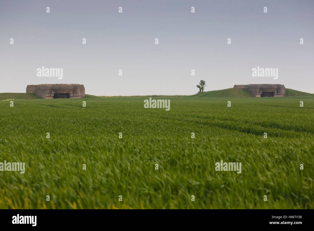 Frankreich, Calvados, d-Day Strände Gegend, Longues Sur Mer, WW2-Ära deutsche 150mm Artillerie-Batterie Stockfoto