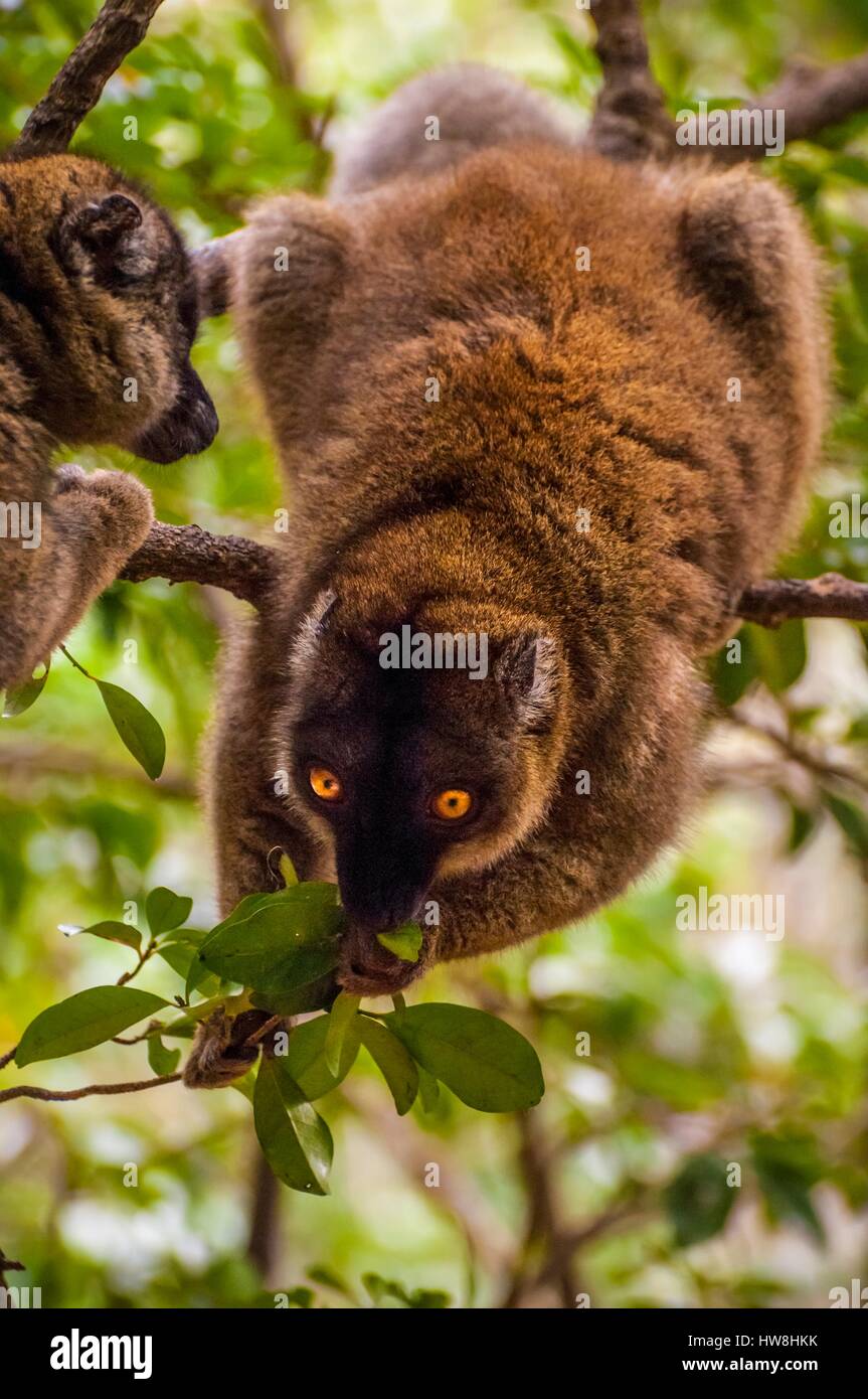 Frankreich, Insel Mayotte (französische überseeische Departements), M